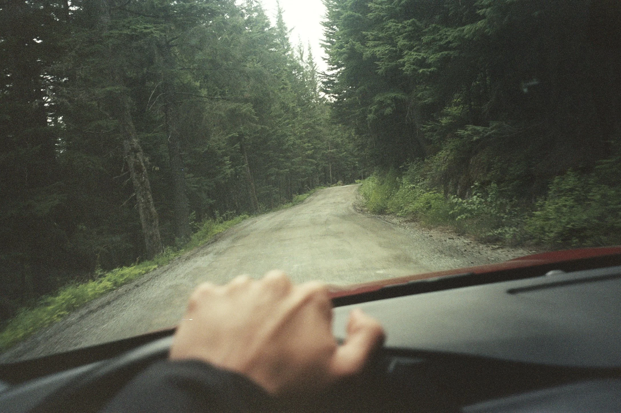 D120EA1E-9970-43F4-A1A6-BFE42AAE74ED_1_102_o.jpeg