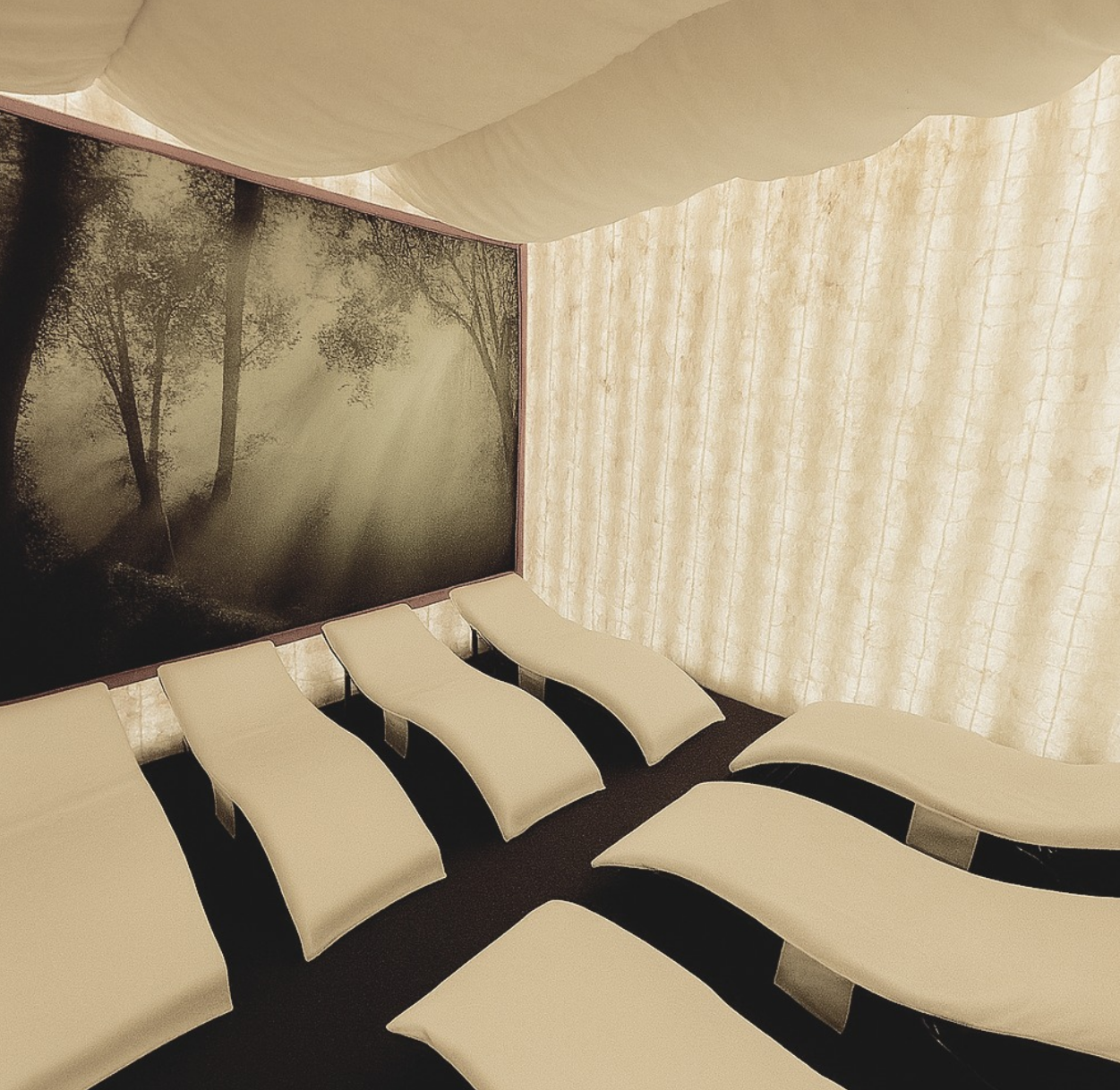Healing Light Collective Selenite Room Experience with Christian