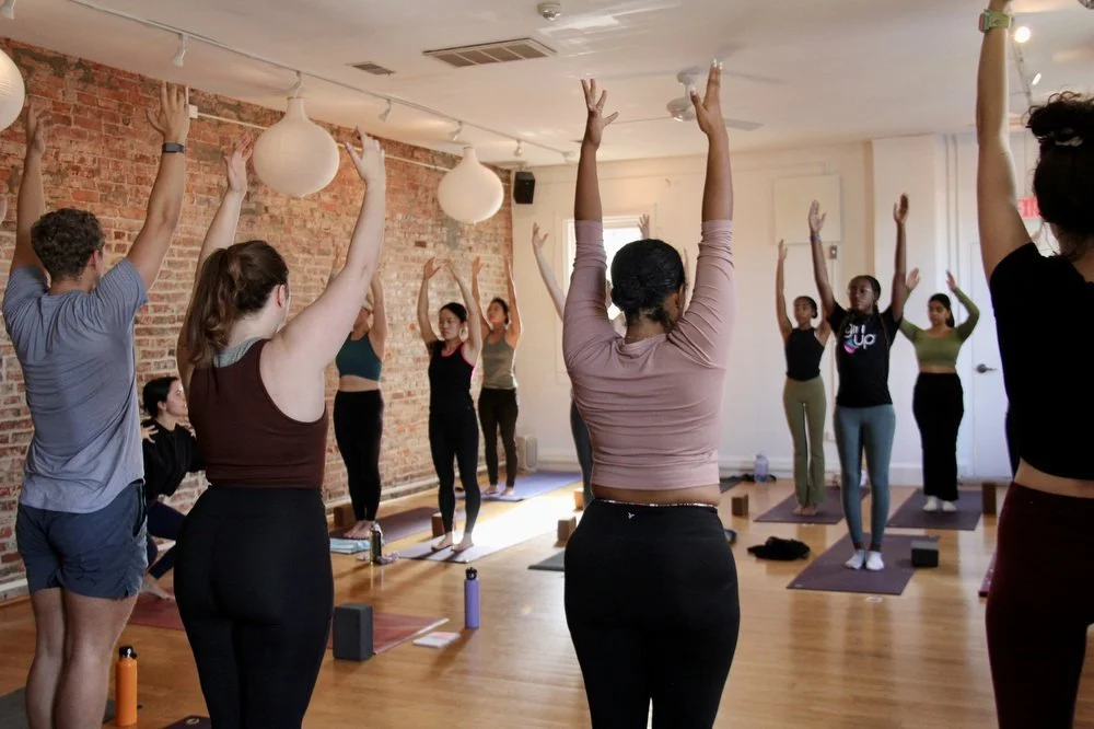 Rise Up & Flow: Yoga for Repro Justice
