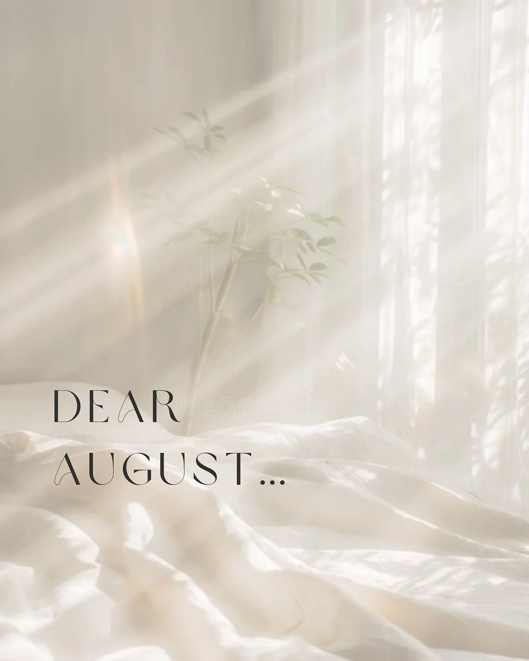 A love letter to August&hellip;

🙏🏼🕊️