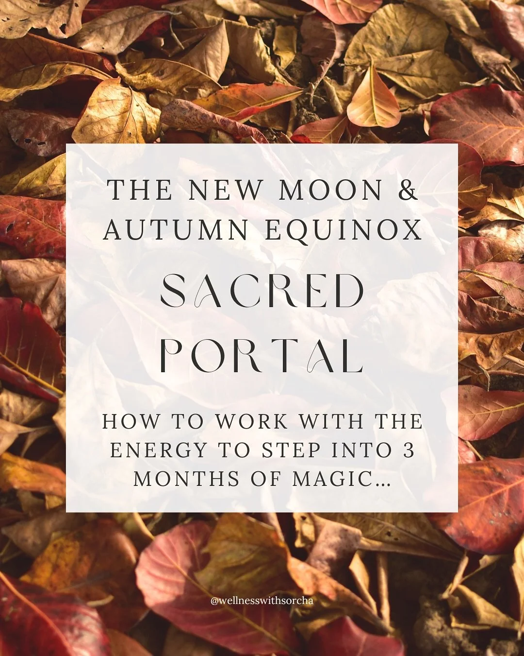 New Moon 🌑 Autumn Equinox 🍂 Solar Eclipse 🌕

Have you been feeling the energy?

It&rsquo;s intense.
It&rsquo;s wild.
It&rsquo;s asking you if you&rsquo;re ready.

As we move into a new energy, what one thing do you want to leave behind? Write it b