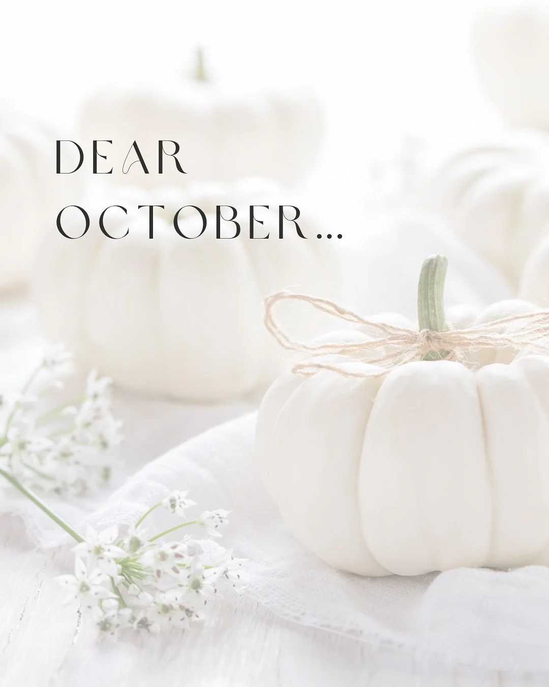 A love letter to October &amp; an invitation for you&hellip; 🍂🤍✨

What would it feel like to live every day in a way that makes you feel good? 🫶🏻

To let yourself rewrite your story and find purpose? 🤍

I have something very special for you that