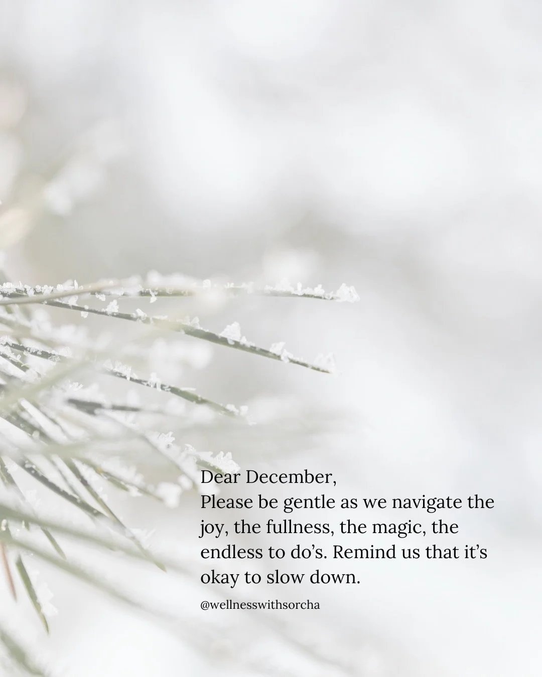 A love letter to December &amp; an invitation for you&hellip; 🤍✨

What would it feel like to move through this month with ease?
With more presence?
With a little more kindness for yourself?

December is one of the most magical months of the year, bu