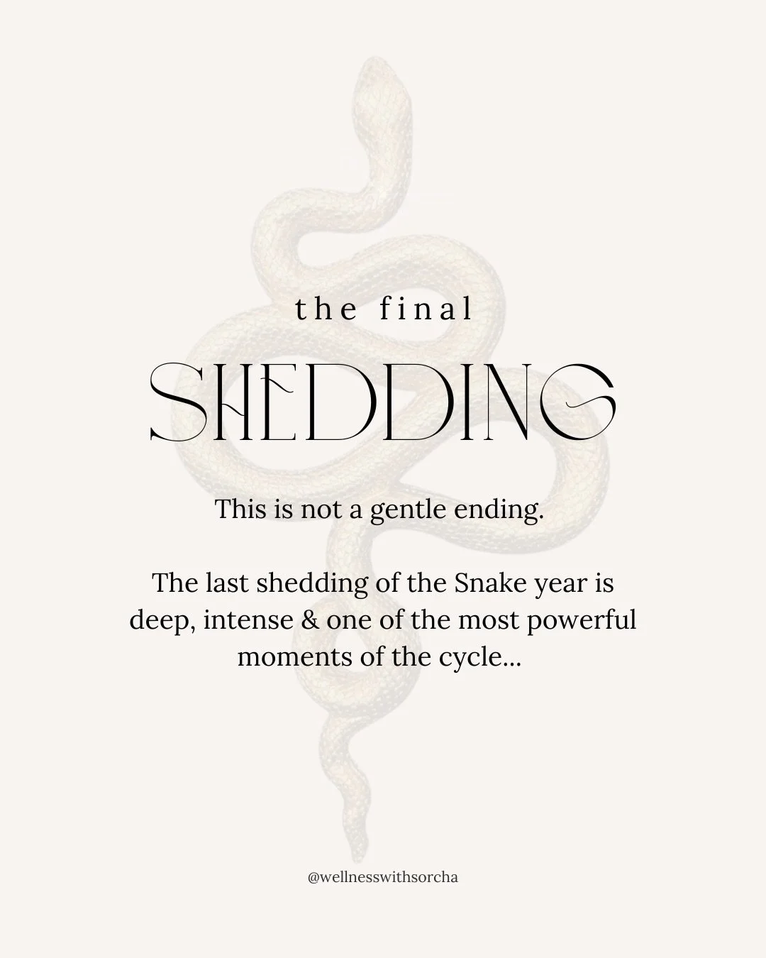 We&rsquo;re here. The final shedding&hellip; 🐍💫

Now is the time to ask yourself:

What&rsquo;s falling away?
What version of you is ready to emerge?

Pay attention to what&rsquo;s happening within you.
And around you 💛

Release and trust the proc