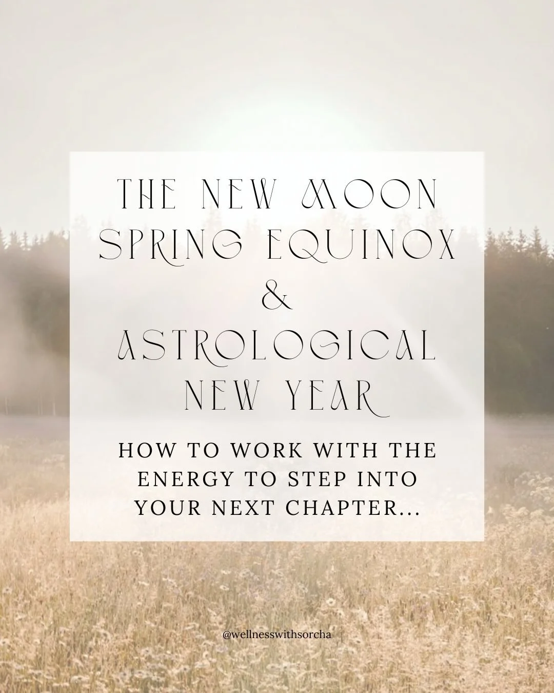 The light is returning &amp; the energy is shifting 🌼

Spring Equinox, New Moon &amp; the Astrological New Year all coming within a few days of each other&hellip; ⚖️🌑🌙

This year is nothing if not intense when it comes to the energetic events &amp