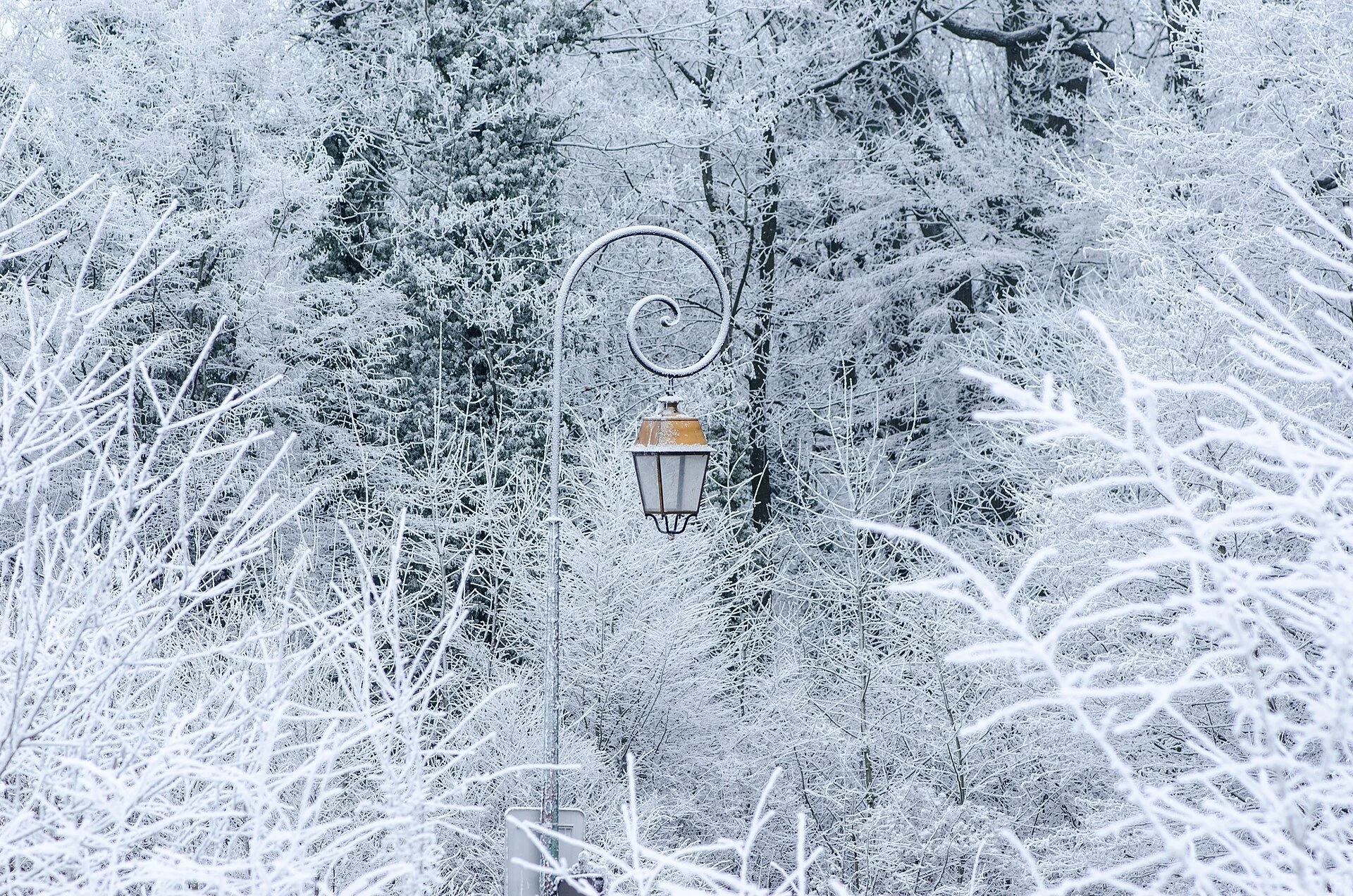 Narnia and the Moral Imagination: Summer Intensive Led by Dr. Shannon Valenzuela