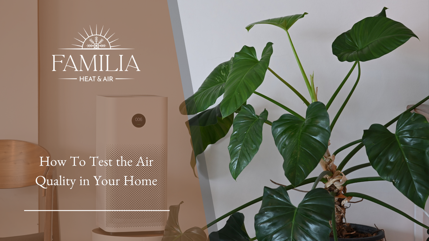 How To Test the Air Quality in Your Home