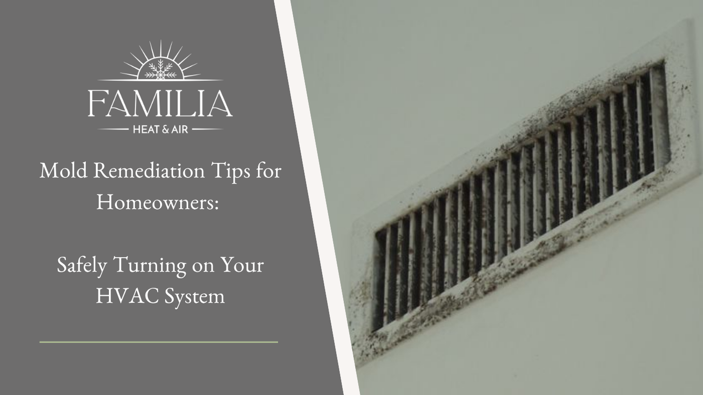 Mold Remediation Tips for Homeowners: Safely Turning on Your HVAC System