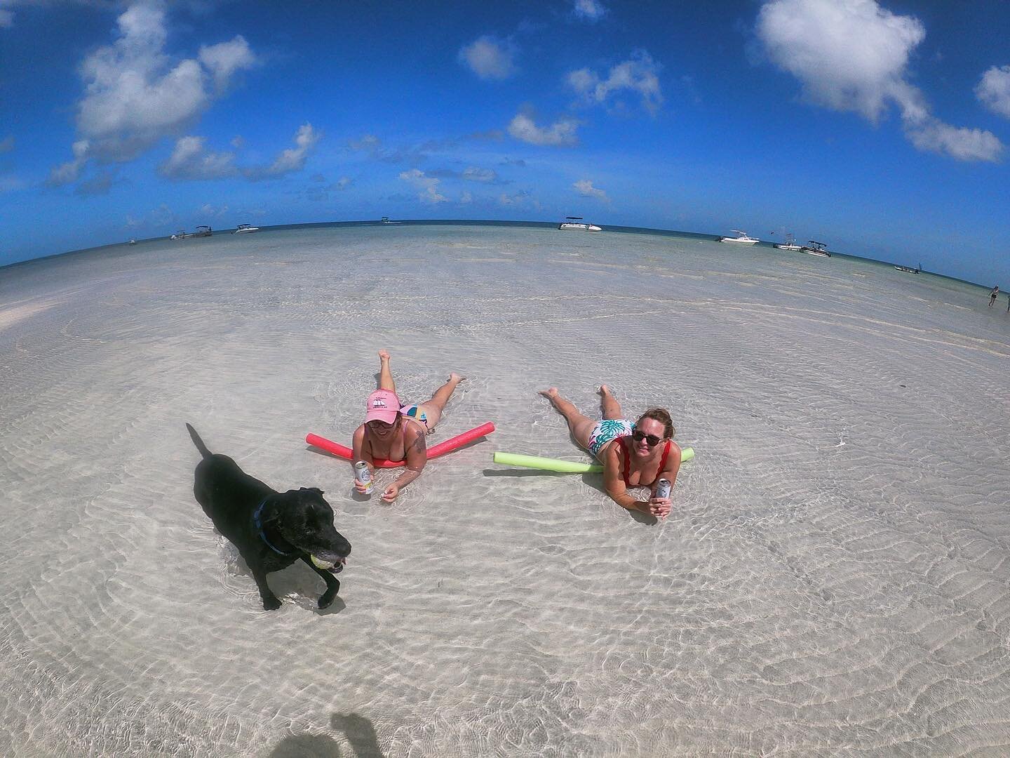 Have yourself a sandbar day! ☀️🏝️

Www.dawntoduskycharters.com 
Call or text Capt Tim! 
860-823-7265
