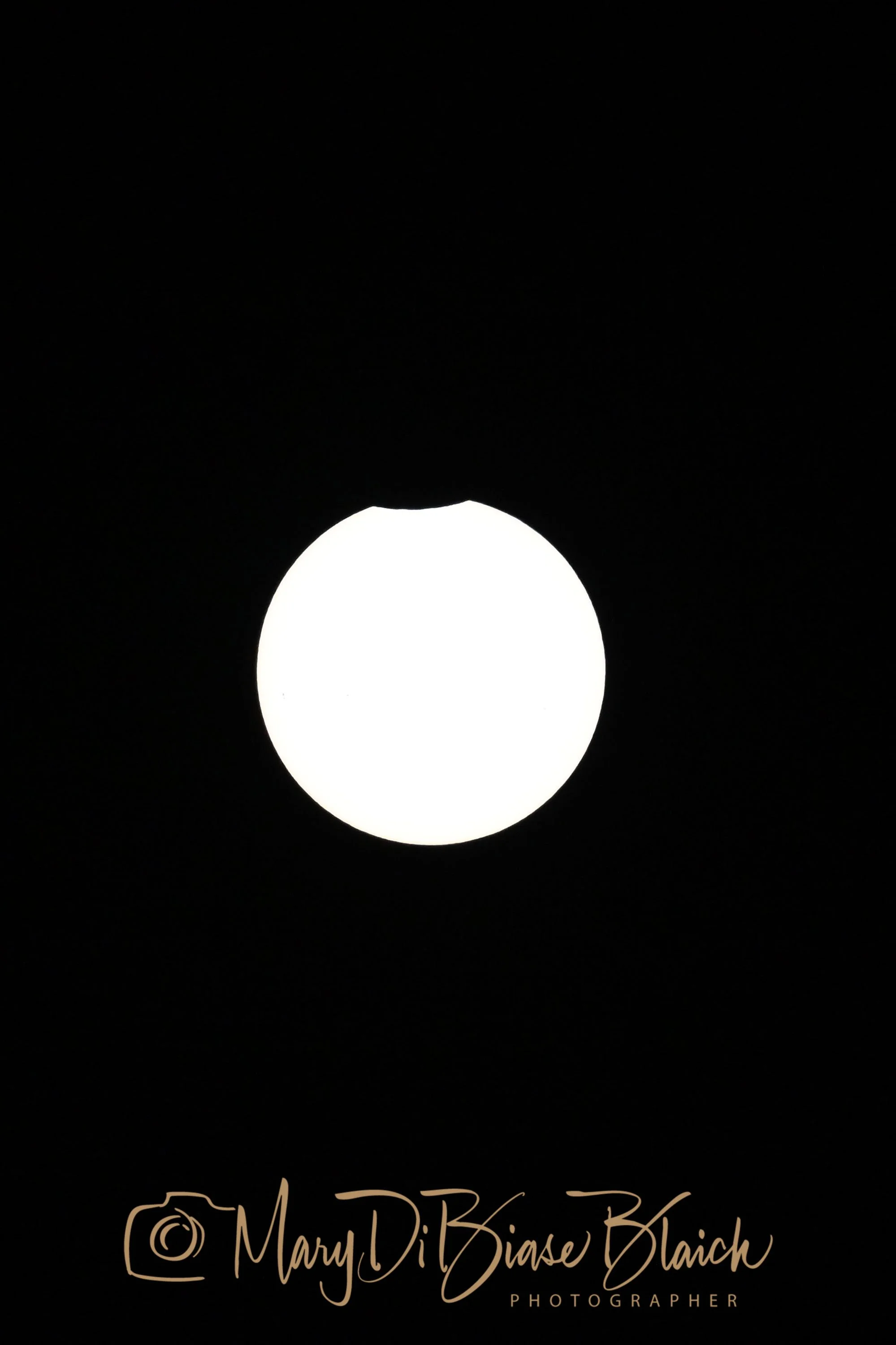 DSC_0616 copy.jpg