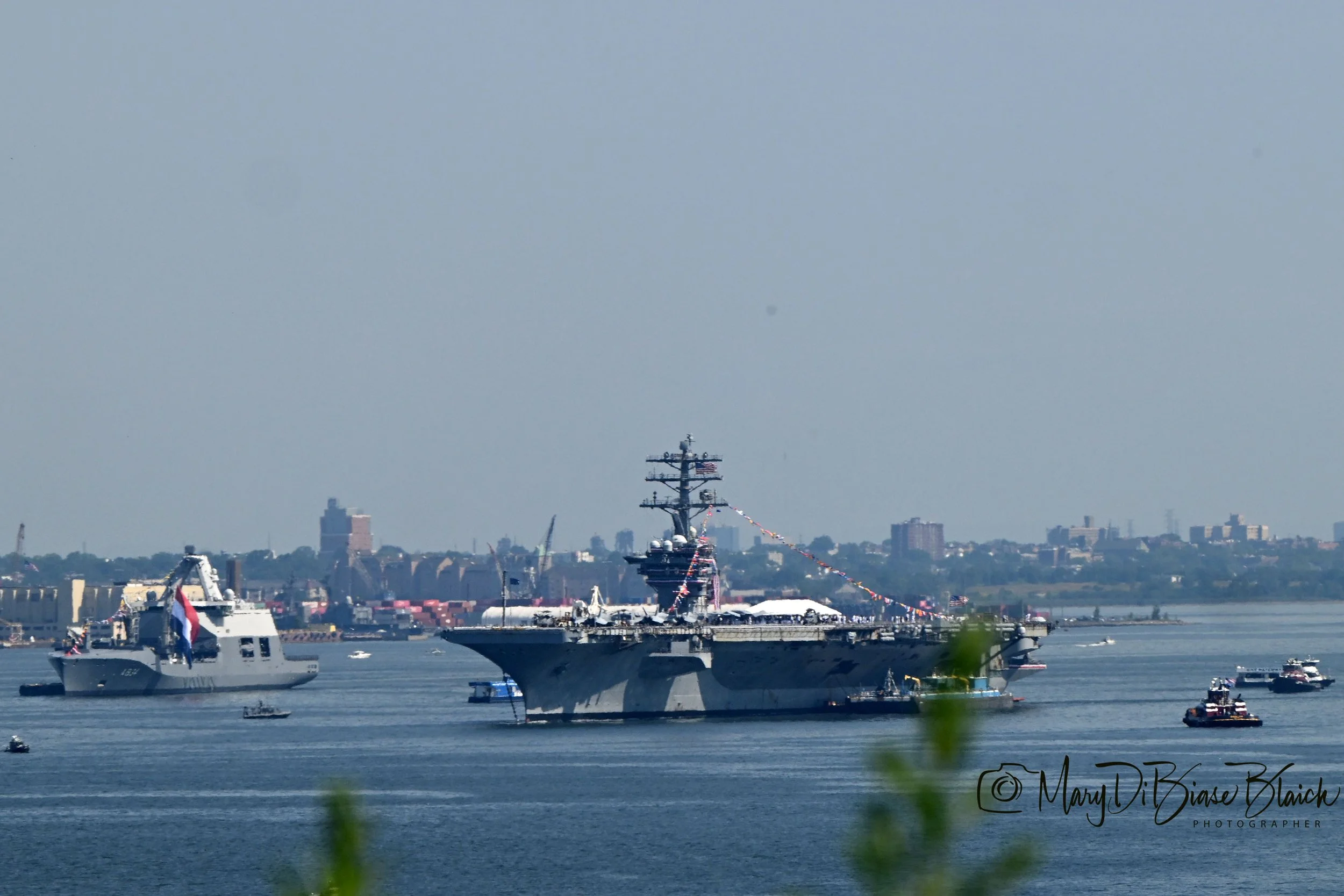 DSC_0302 copy.jpg