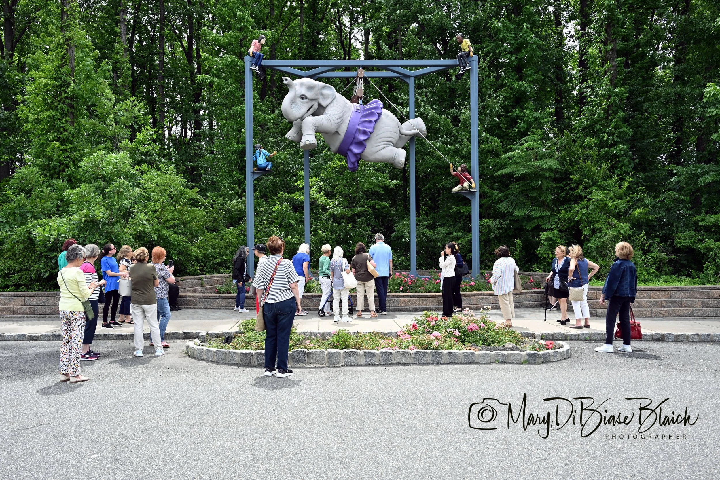 DSC_0306 copy.jpg