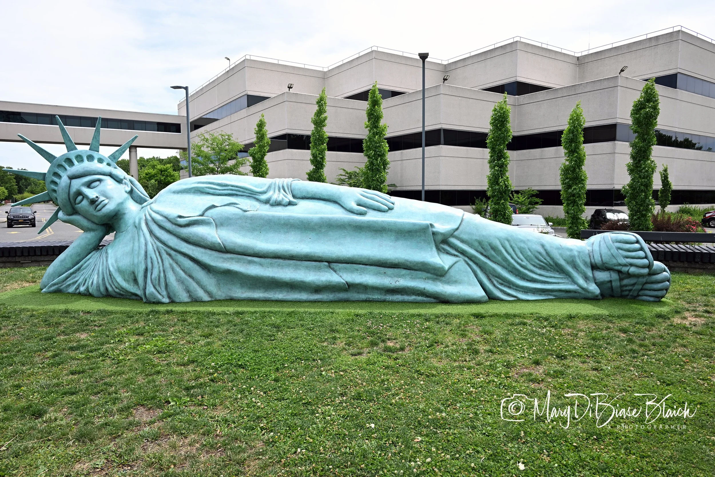 DSC_0310 copy.jpg