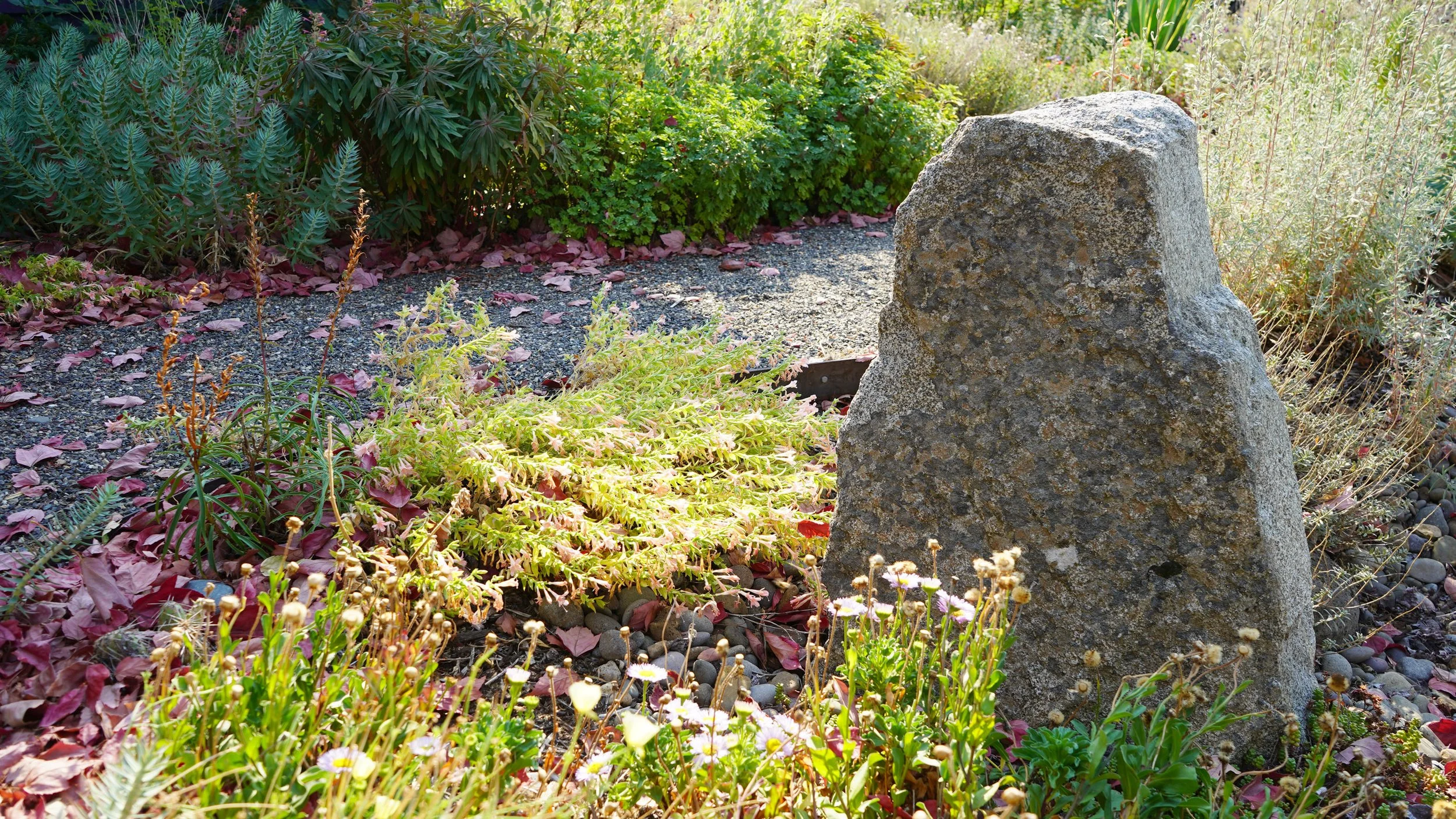 FALL GARDEN CARE: THE ART OF STRATEGIC MESS