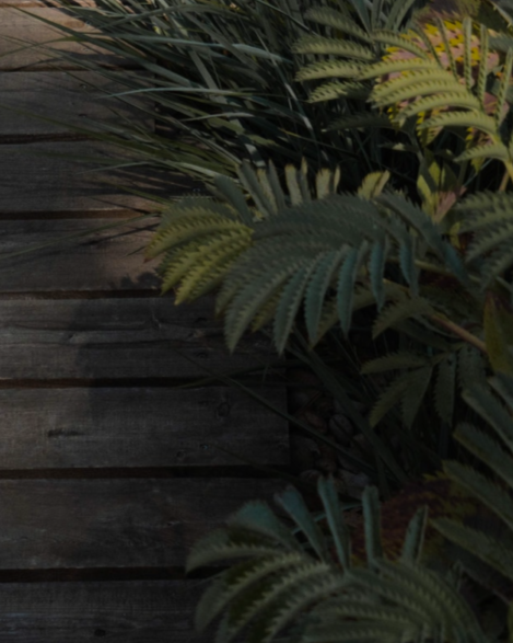 California Meets Oregon Landscape Design: ORCA X BLUEPRINT EARTH