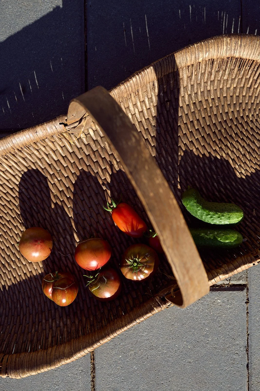 A basket of organic vegetables grown in the backyard- tomatoes cucumbers