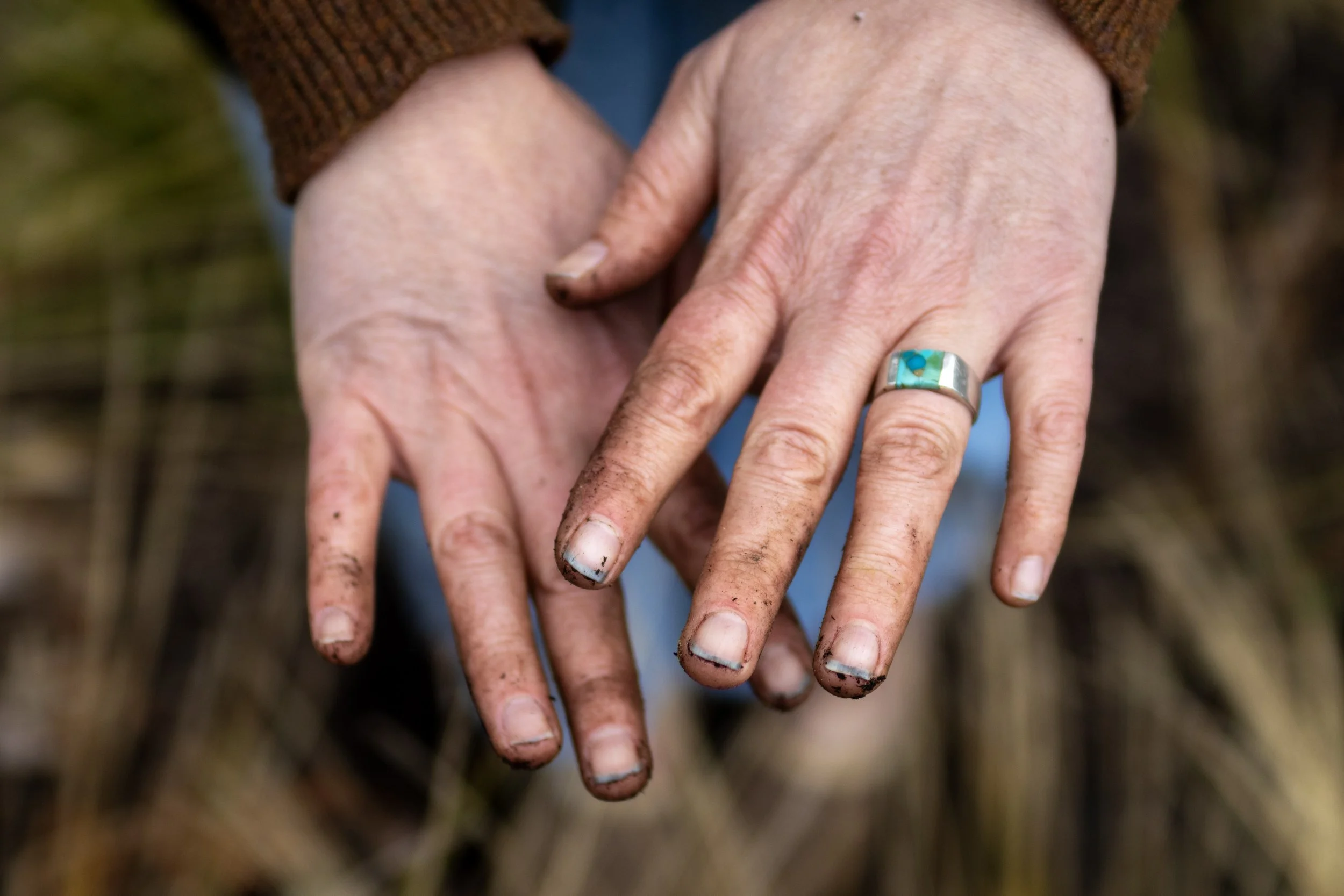 Homeowner touching healthy biodiverse soil in a Portland Oregon garden Hands in microbially rich garden soil, ecological landscape design Pacific Northwest Close-up of hands in living soil, Blueprint Earth landscape Portland