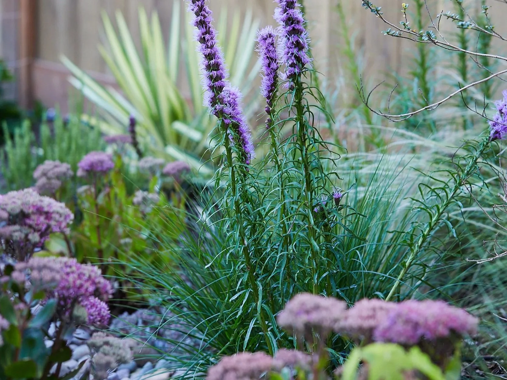 Biodiverse native plantings with Willamette Valley forest views, Blueprint Earth Portland