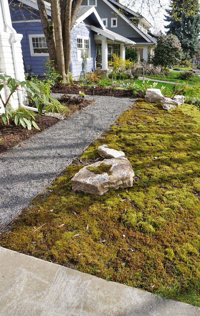 Habitat Garden Portland Oregon High-end Native Plants for Portland Oregon and the Pacific Northwest