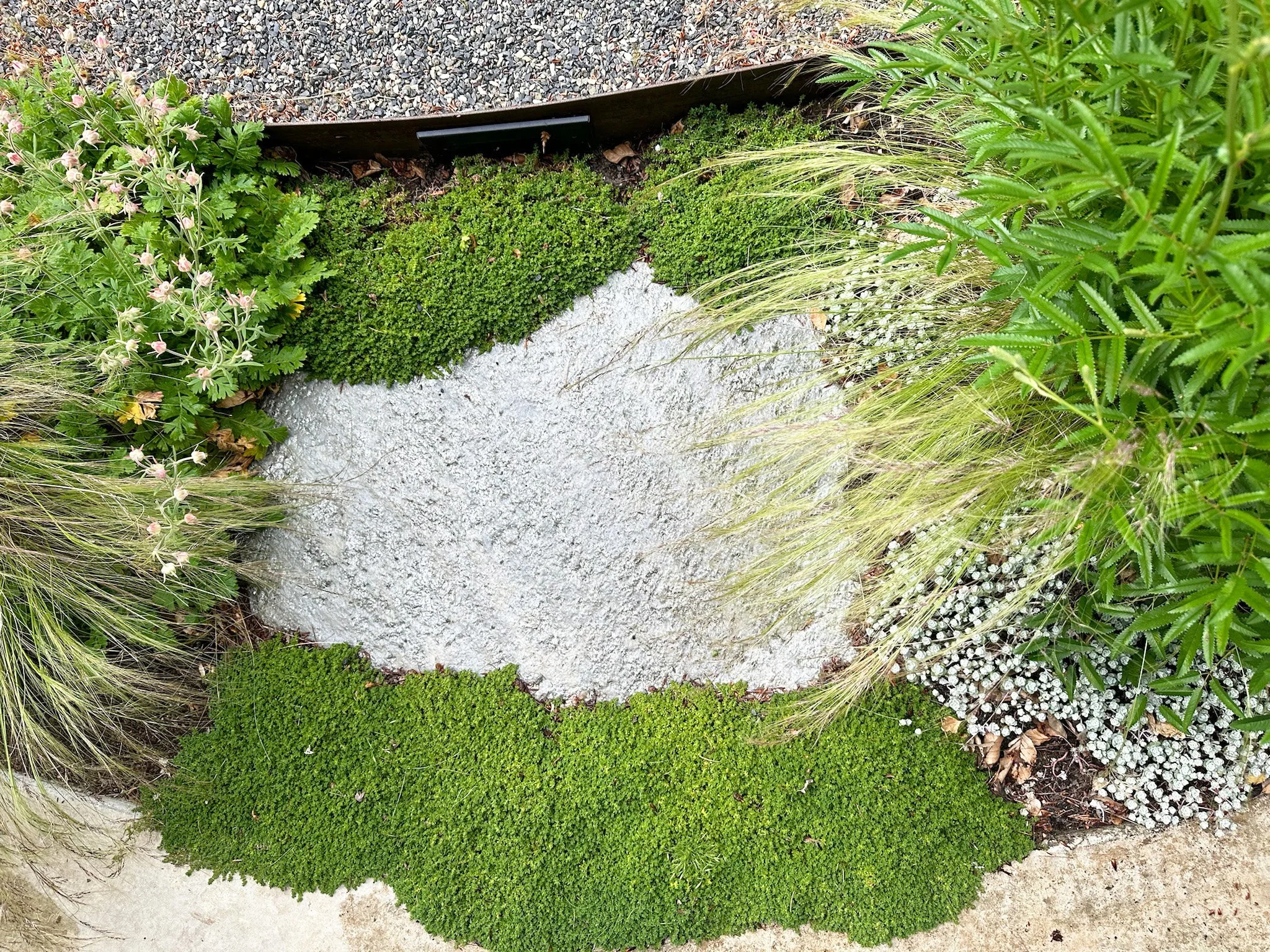 Sustainable Materials Landscape Construction and Installation PNW Pacific Northwest Portland Designers