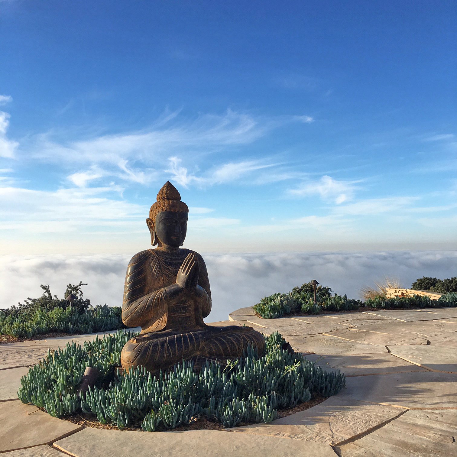 Southern California Sustainable Landscape Landscape Architecture and Garden Installation Spiritual and Wellness High End Fine Gardening