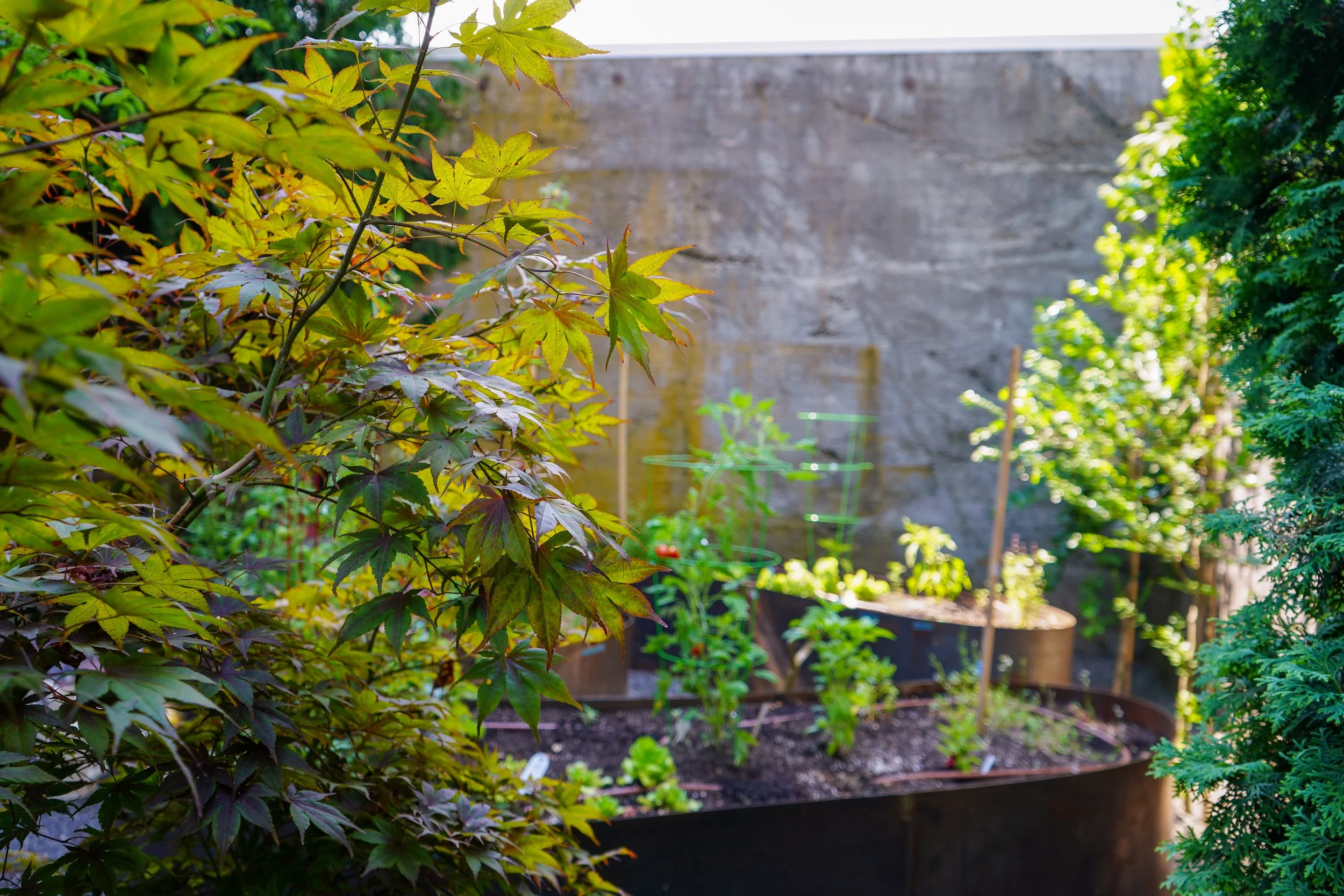 Wright_garden.jpg