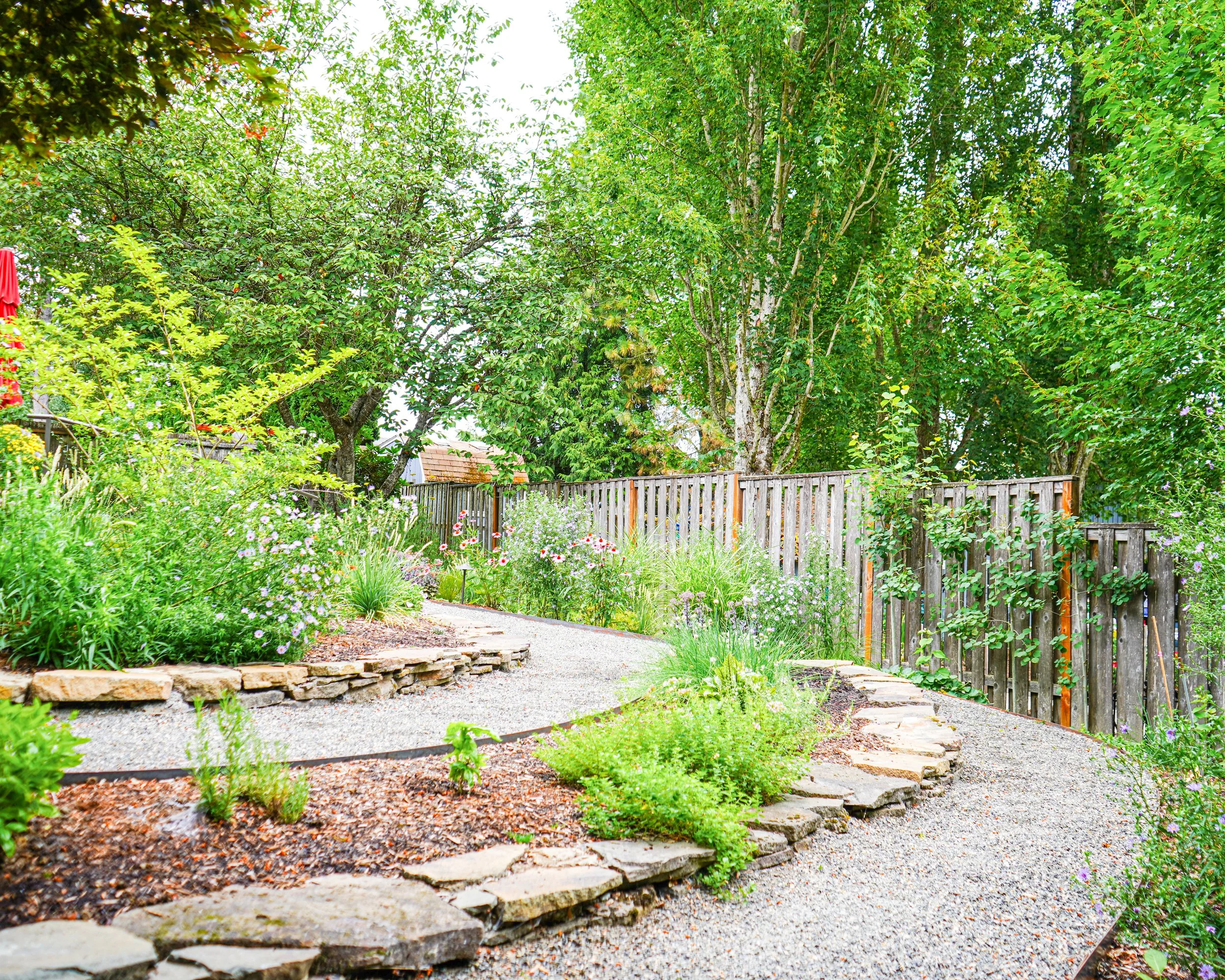 A sloped backyard fit with lush plantings for pollinators, and weaving paths