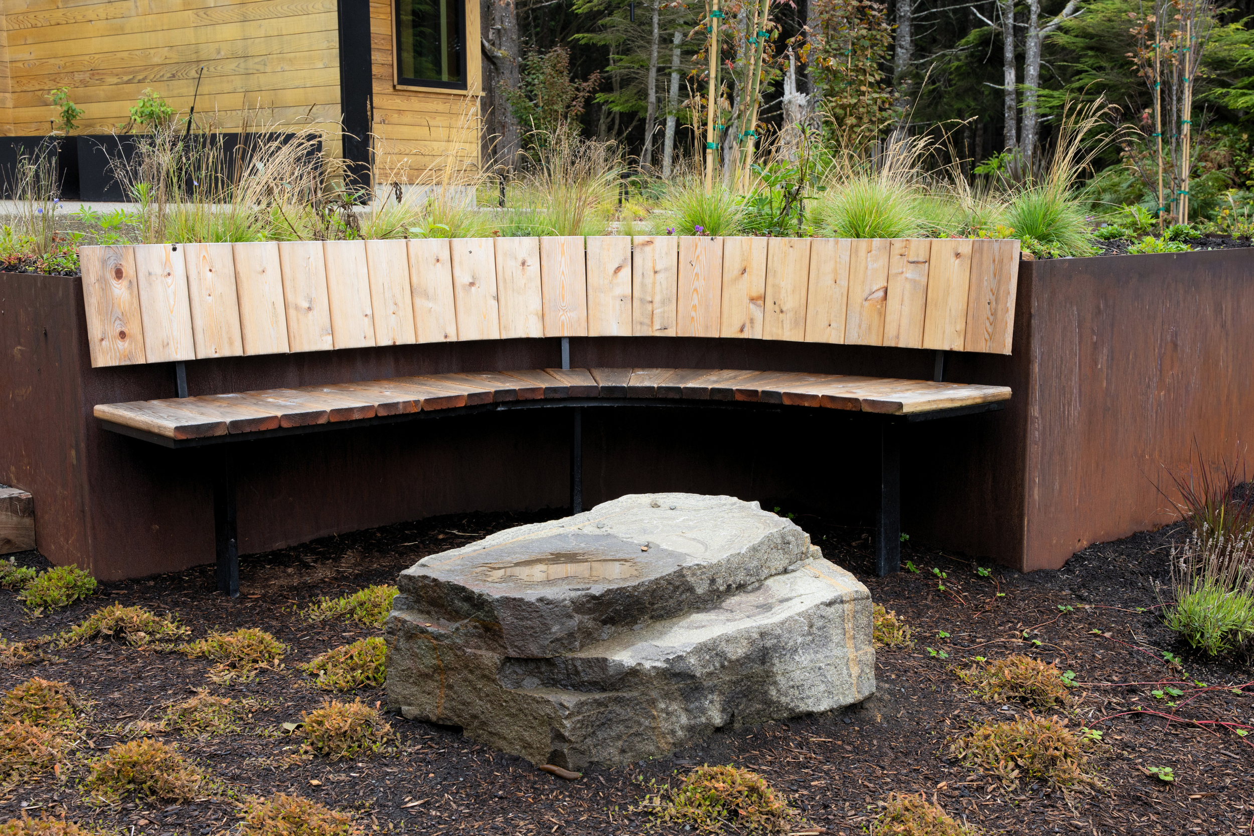 Naturally rot-resistant juniper used in ecological landscape design, Eastern Oregon sourced