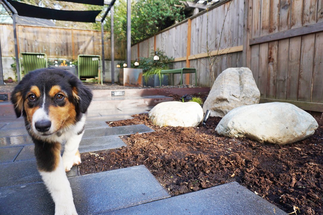Sustainable Materials Portland Oregon Fine Garden Installation and Design Pacific Northwest