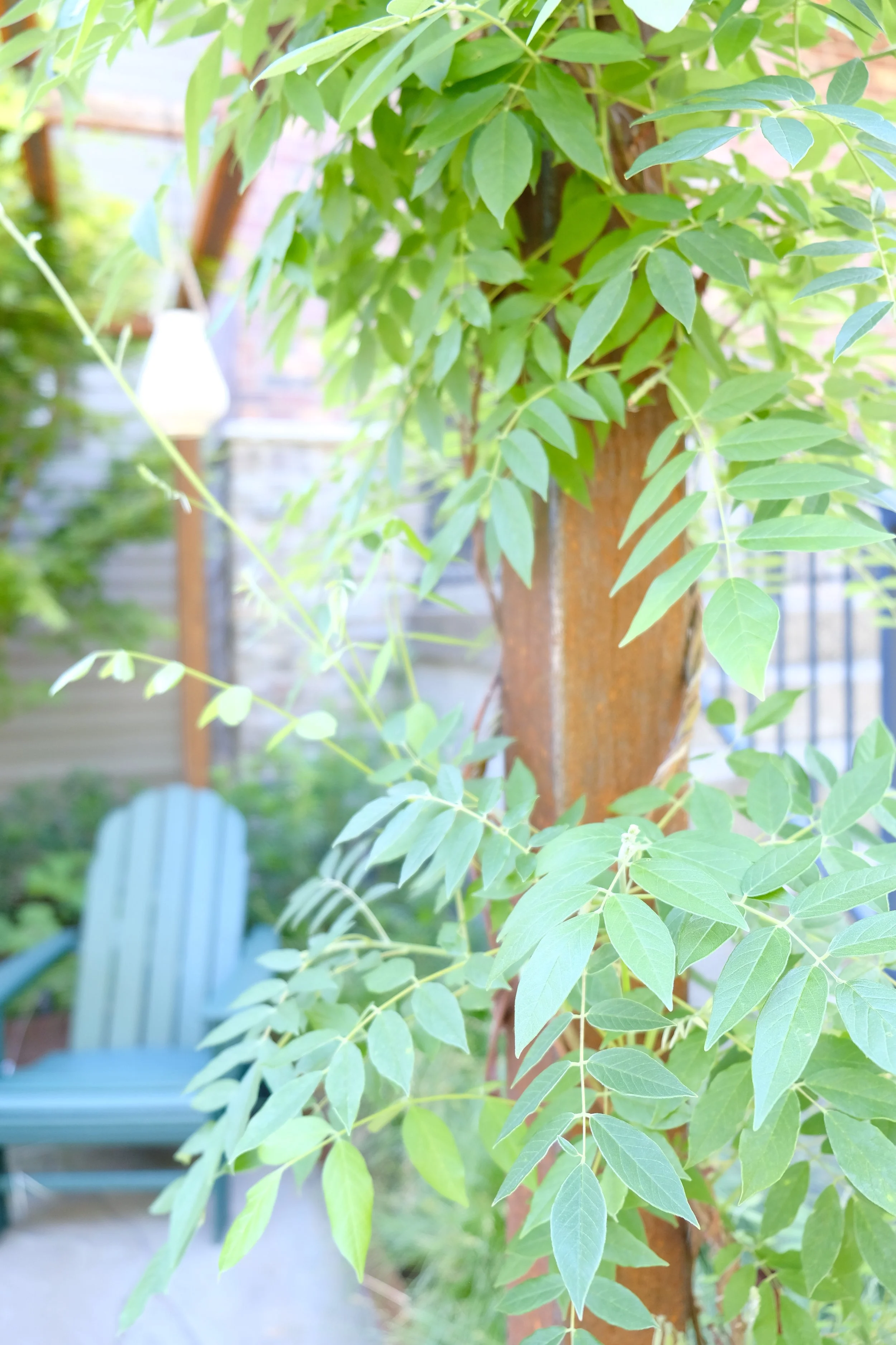 Fine Gardening Portland Oregon Landscaping. Sustainable Eco-Friendly Gardener Water-Wise and Native Landscape Construction