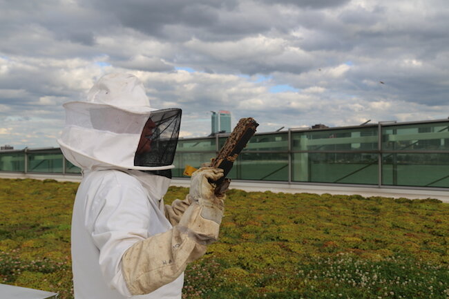 THE BUZZ ABOUT COBO’S SUSTAINABILITY EFFORTS