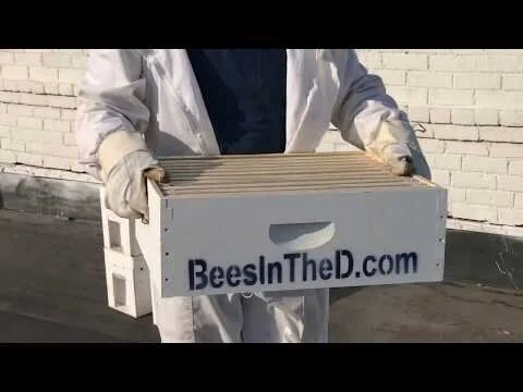 Detroit City Distillery - 2 Hive Install