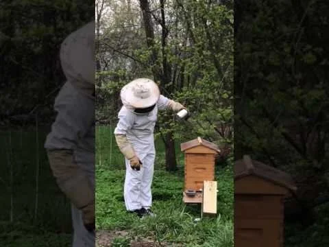 Abloom Install Package