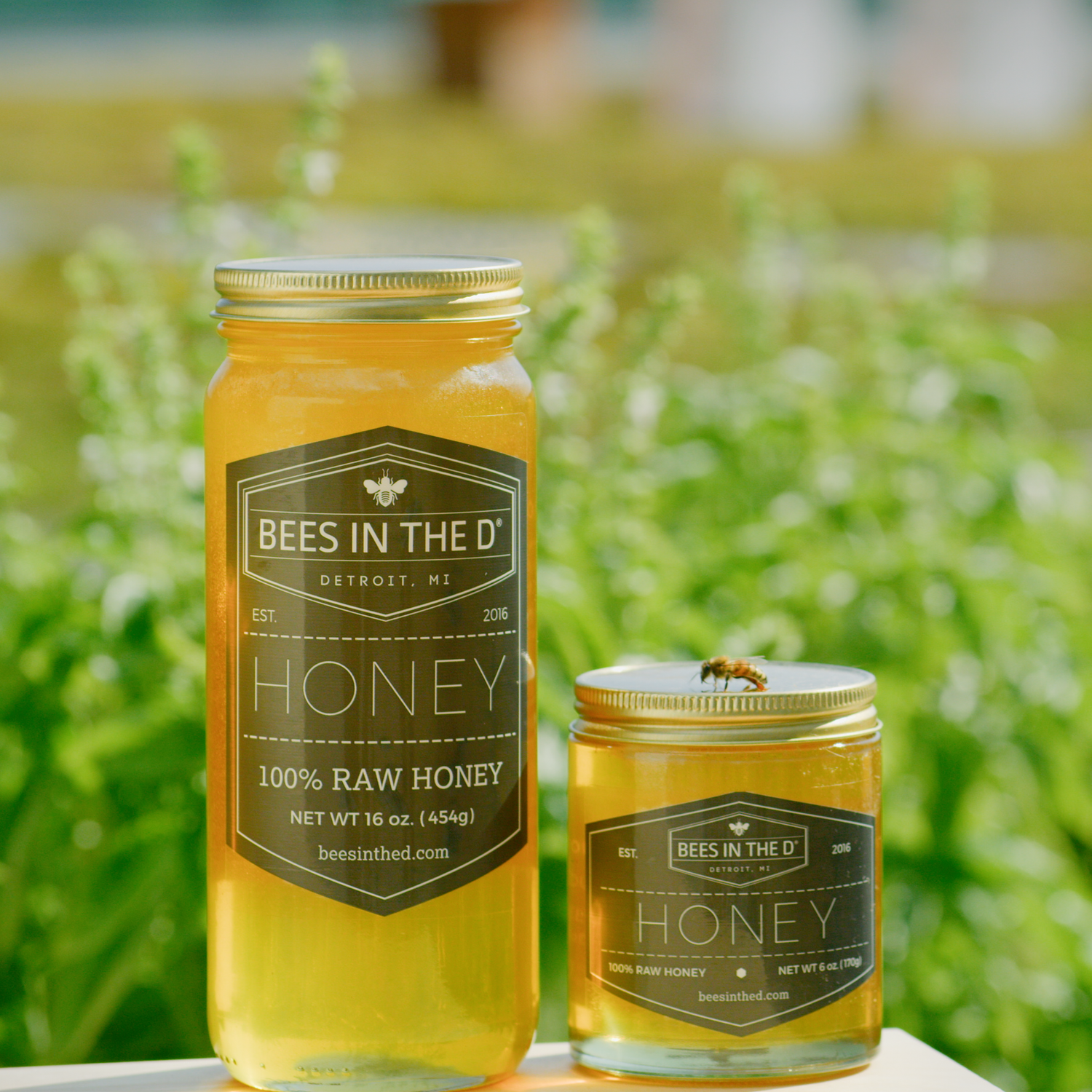 Raw Bees In The D Honey Bees In The D