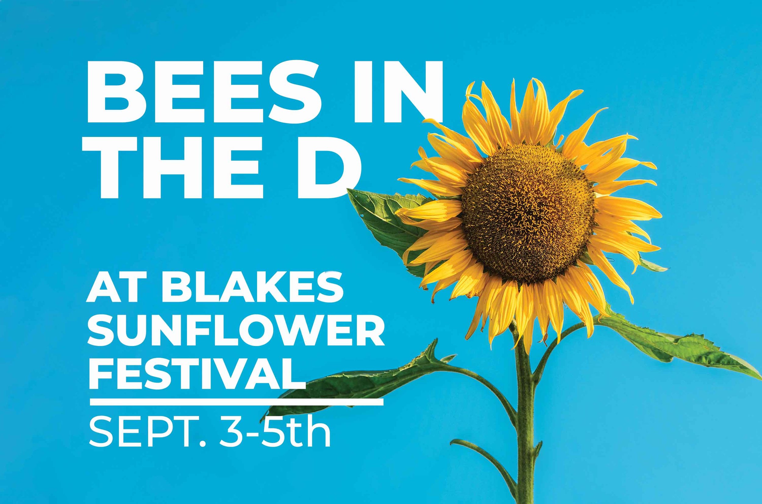 Blake's Sunflower Festival — Bees in the D