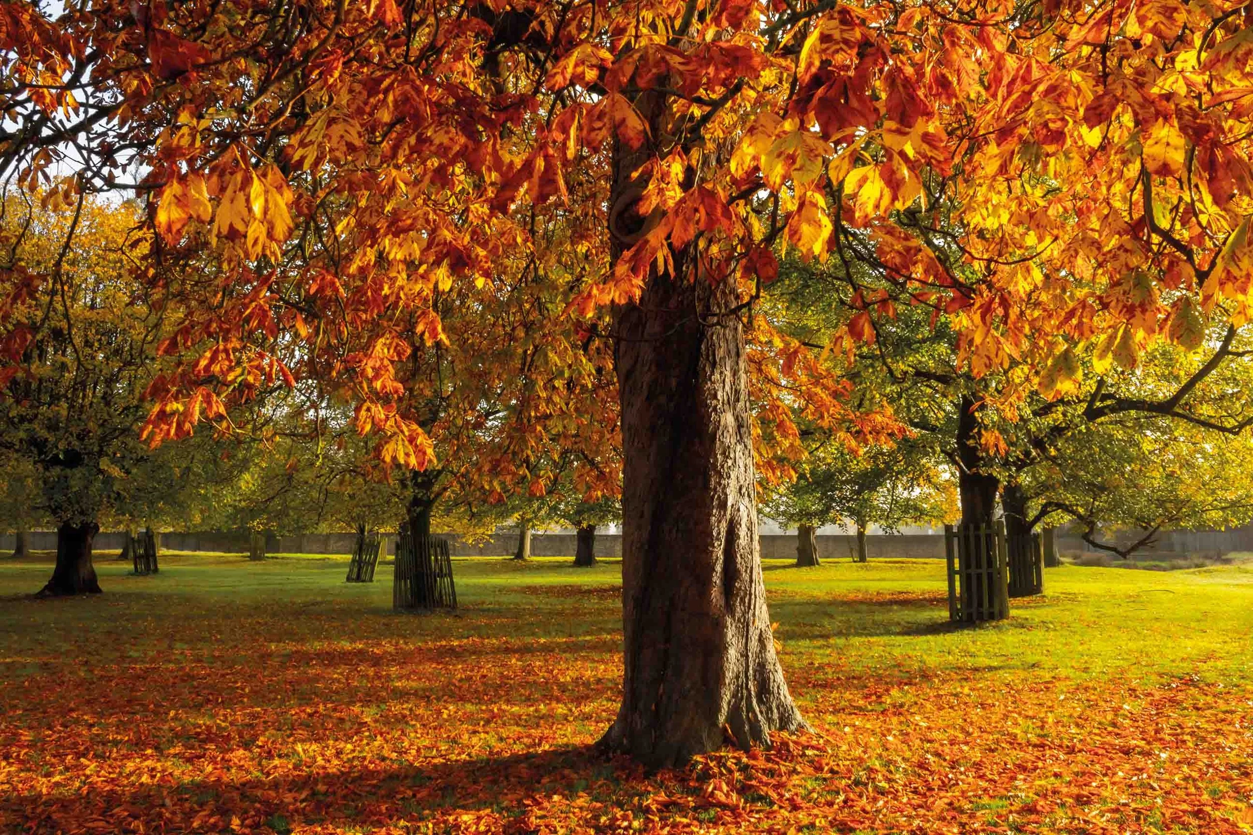 Photography & Prints