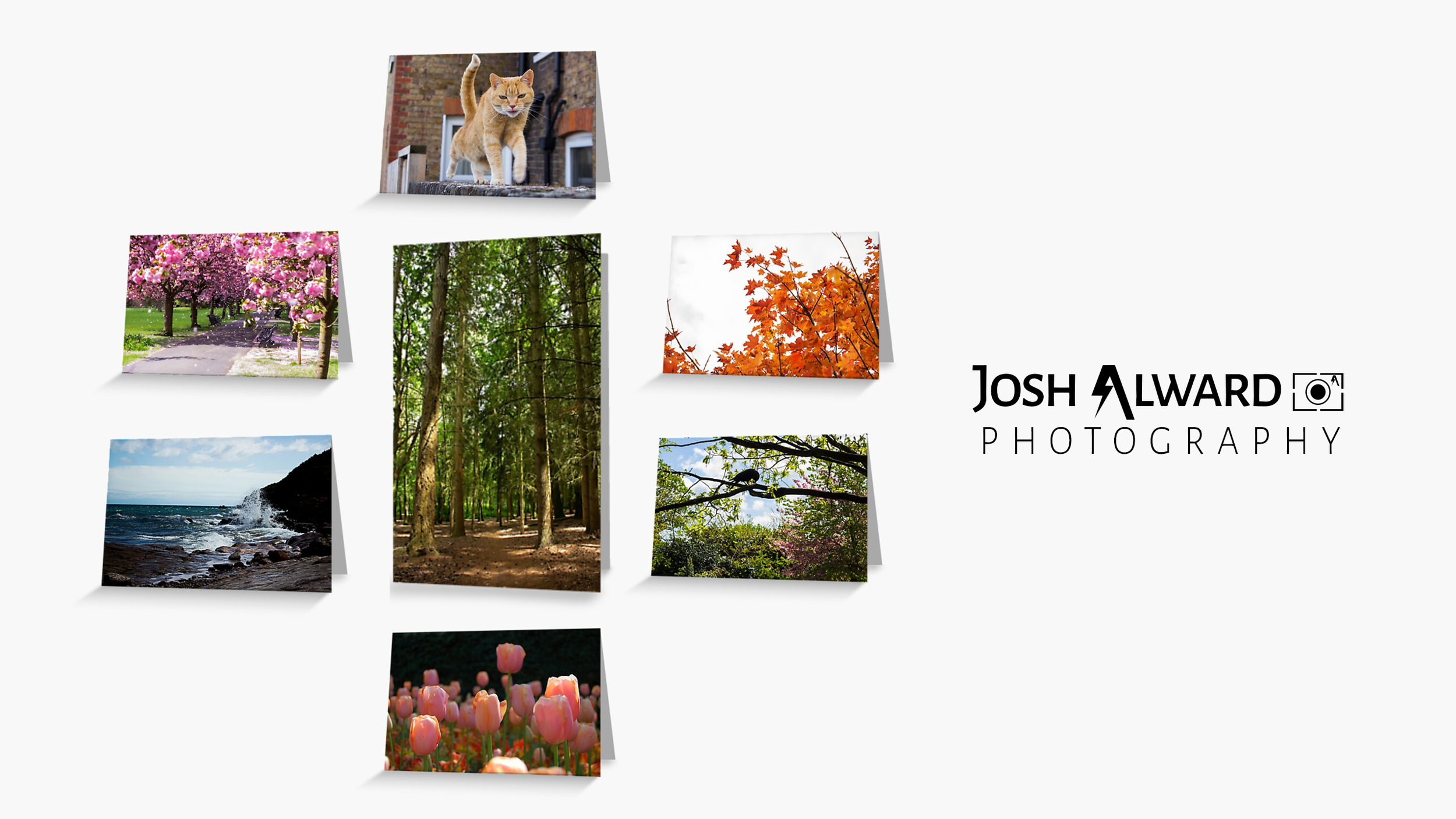 Greeting Cards_with logo.png