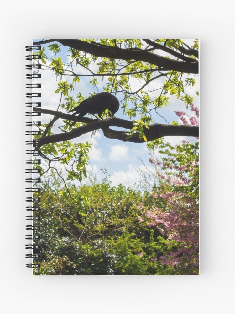 work-60874179-spiral-notebook.jpg