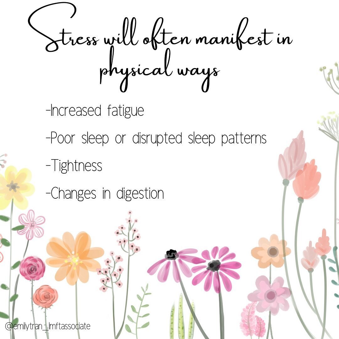 Unless you grew up hearing about how stress can impact your body, it can be hard to tell why your body is changing during high stress times. Here are just a few things you might notice.