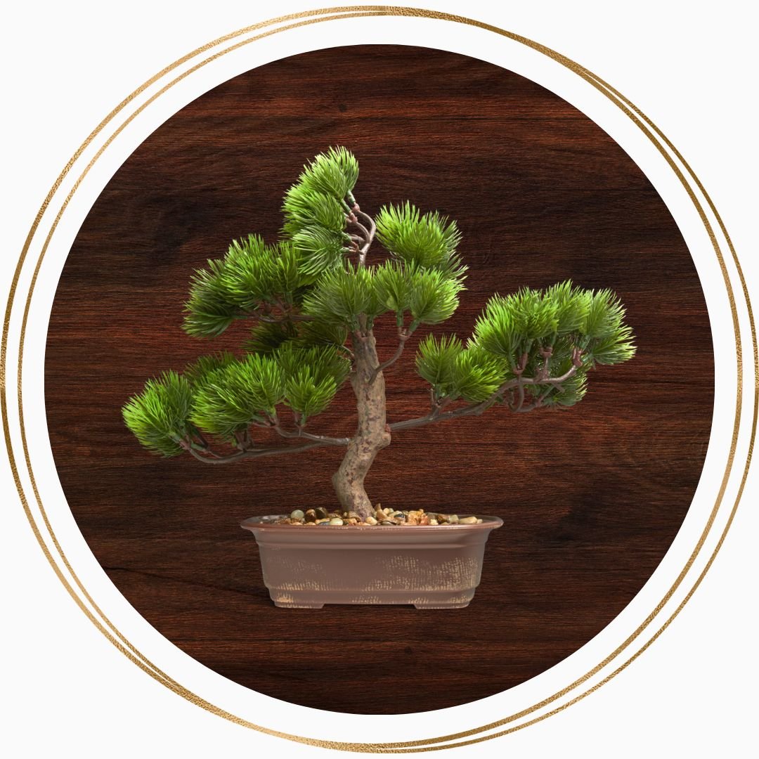 Executive Coaching & Organizational Leadership Bonsai Leadership Group