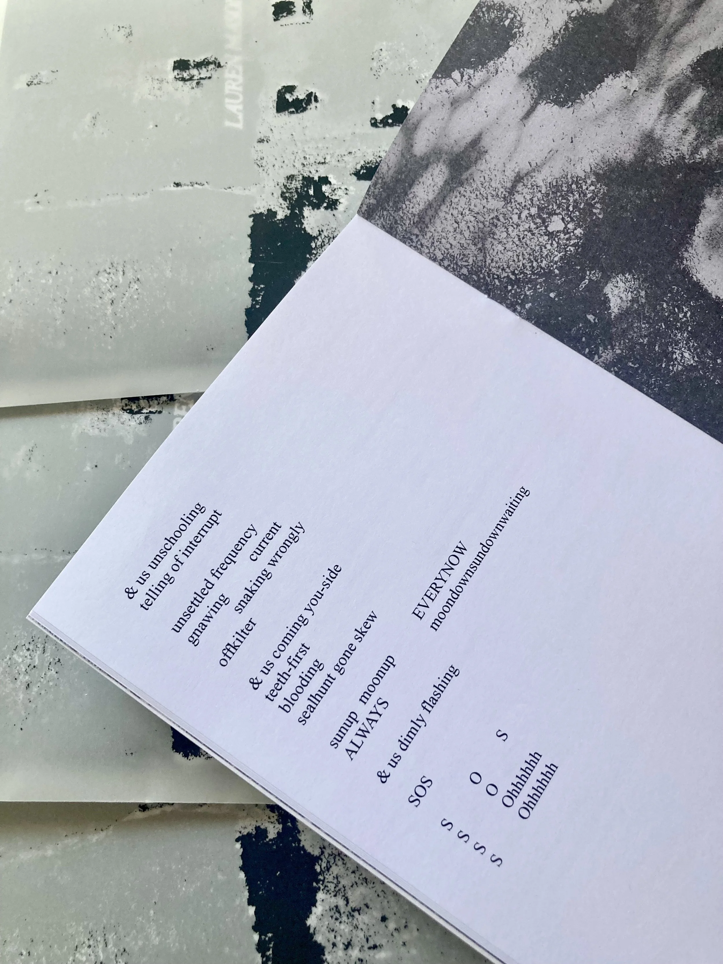 Water Scores - Pamphlet by Lauren Mason and Richard Knox