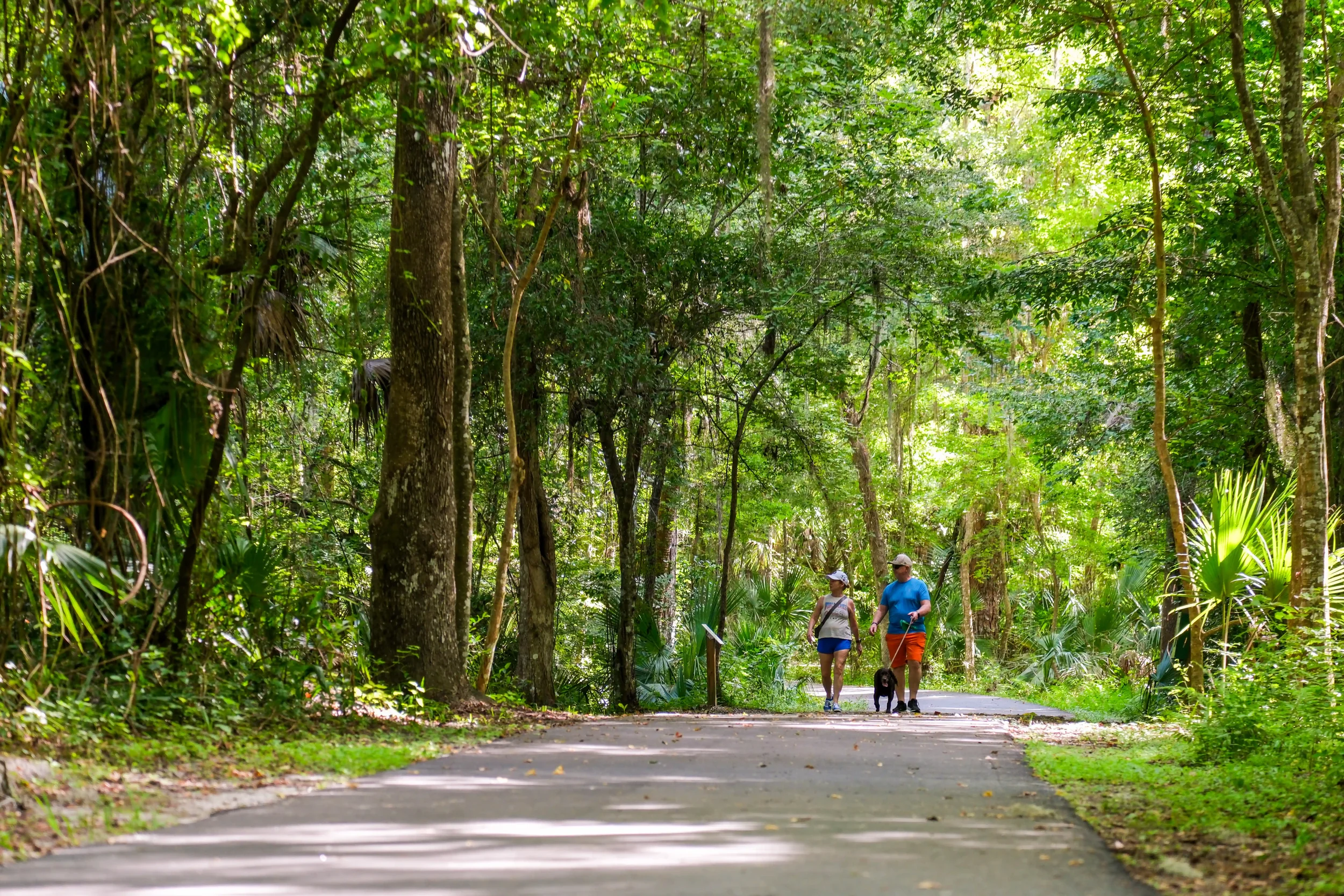 Pedaling Through Paradise: Central Florida’s Spring to Spring Trail