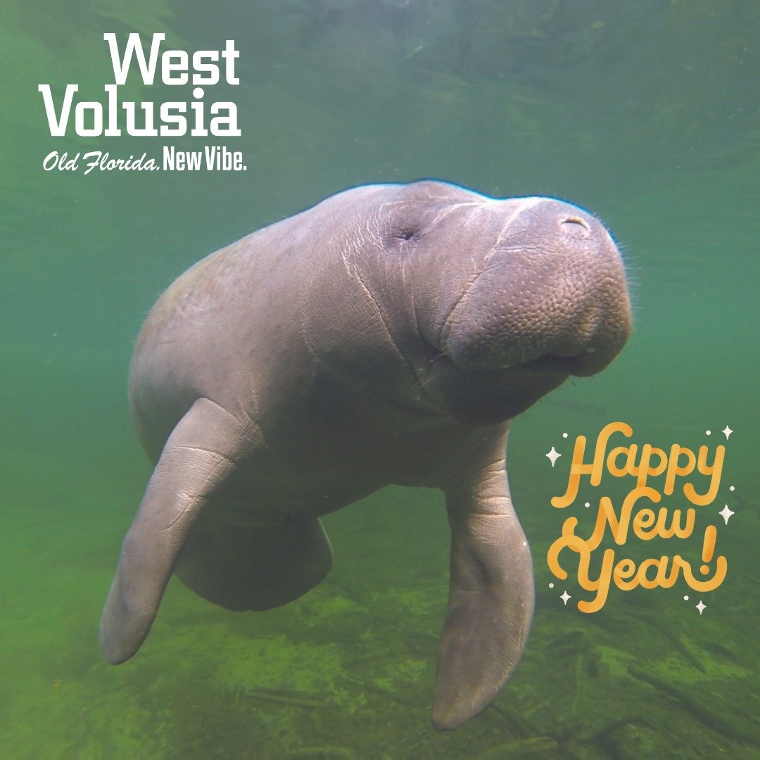 Happy New Year from Gator!💙

As I swim into the new year, I want to extend a huge thank you to the @savethemanateeclub for their generosity and all the amazing work they do to protect manatees like me. From conservation and education to rescue and a
