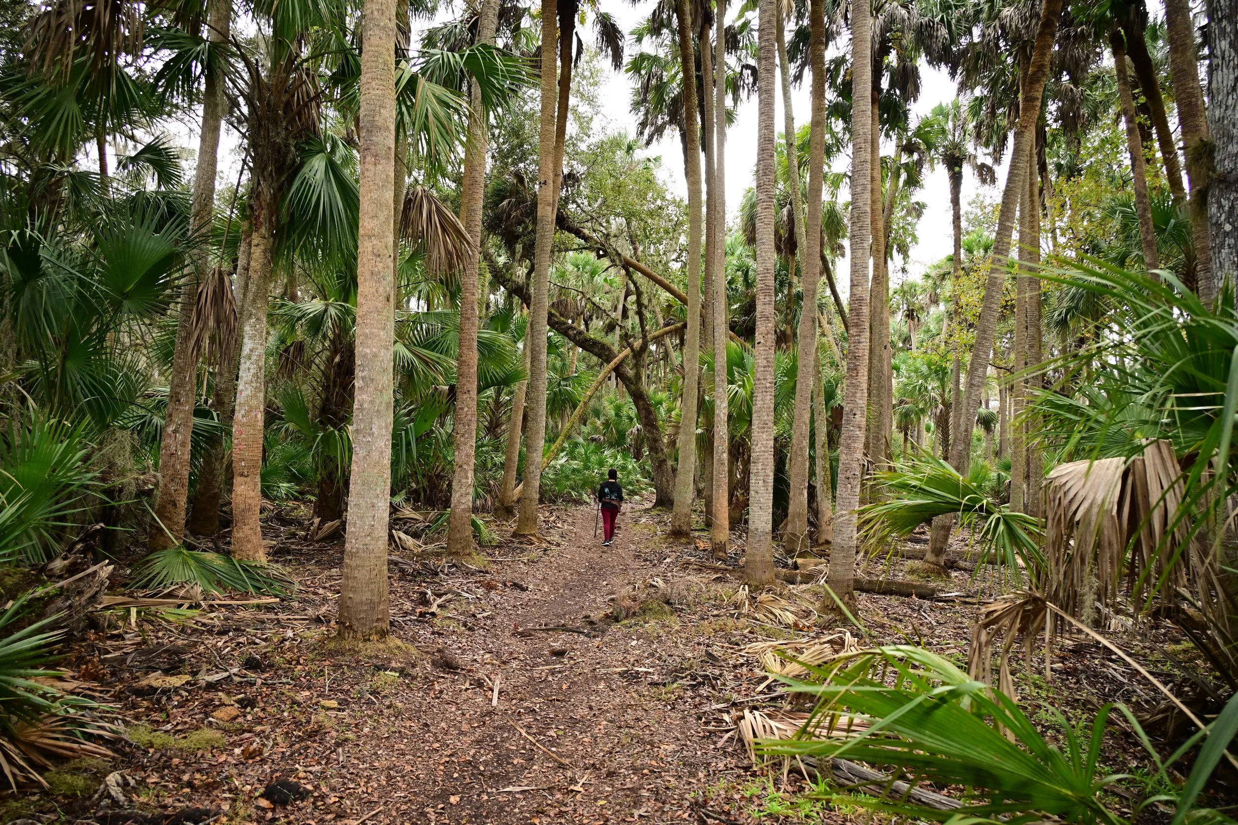 Hontoon Island State Park