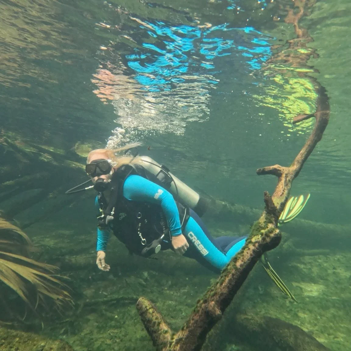 Adventure is back beneath the surface at Blue Spring!💦

@floridadivecompany's 2026 tour season begins April 8 at Blue Spring State Park. From first-time snorkelers to certified divers, their expert-led tours make it easy to experience one of Florida