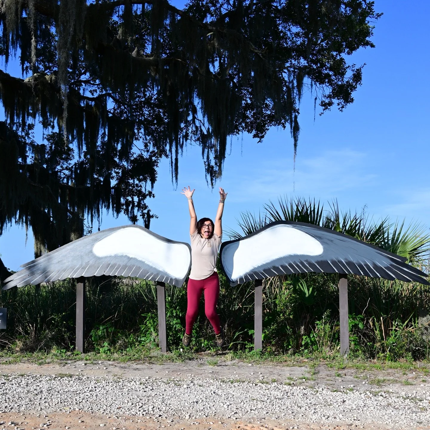 Wings of the West, Lake Woodruff National Wildlife Refuge