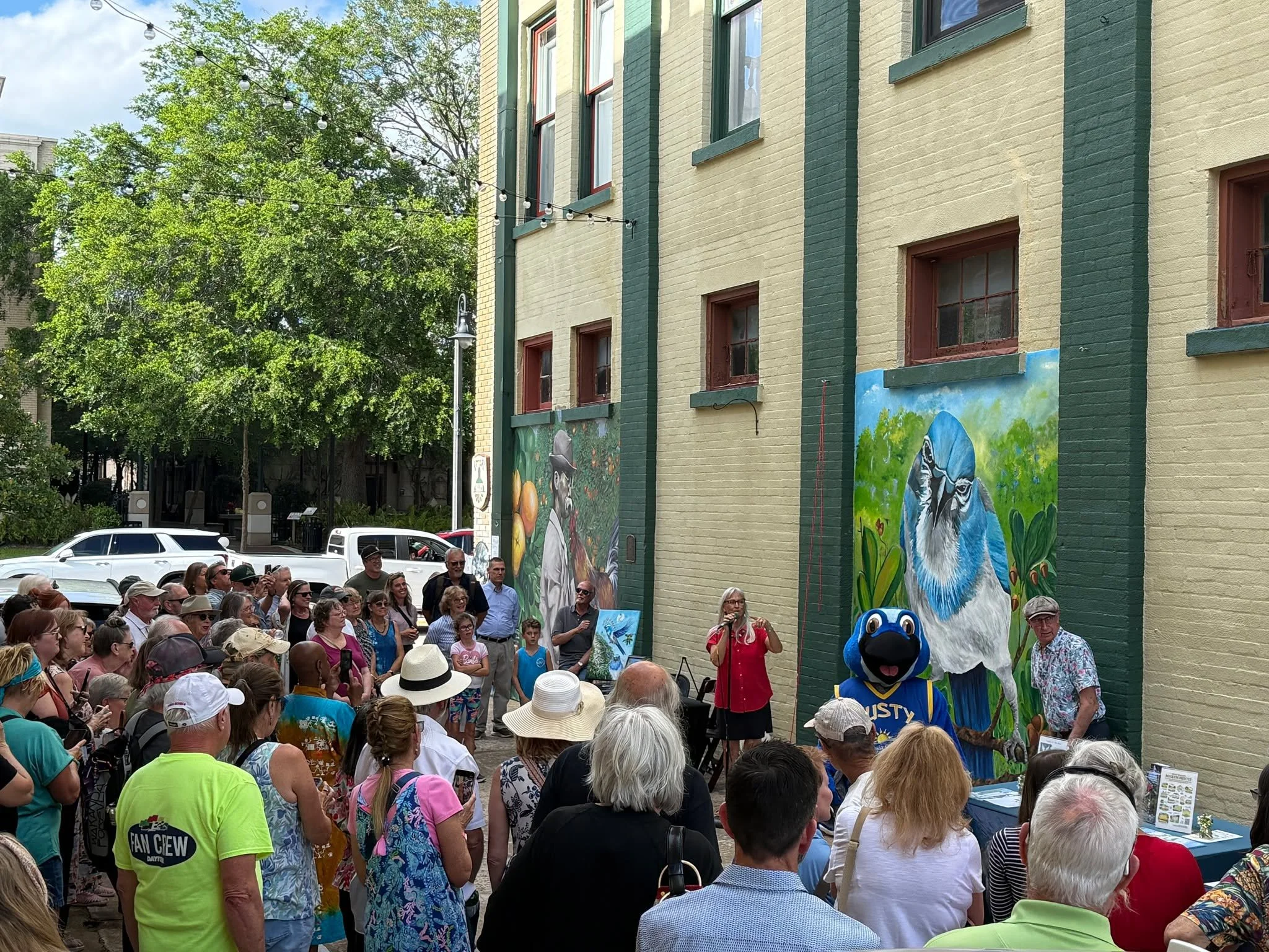 Today we celebrated the unveiling of a beautiful new mural in Artisan Alley, right by our Visitor Center! 🎉

After a two year process spearheaded by West Volusia Audubon and West Volusia Artists, a larger than life mural of the Florida Scrub Jay has