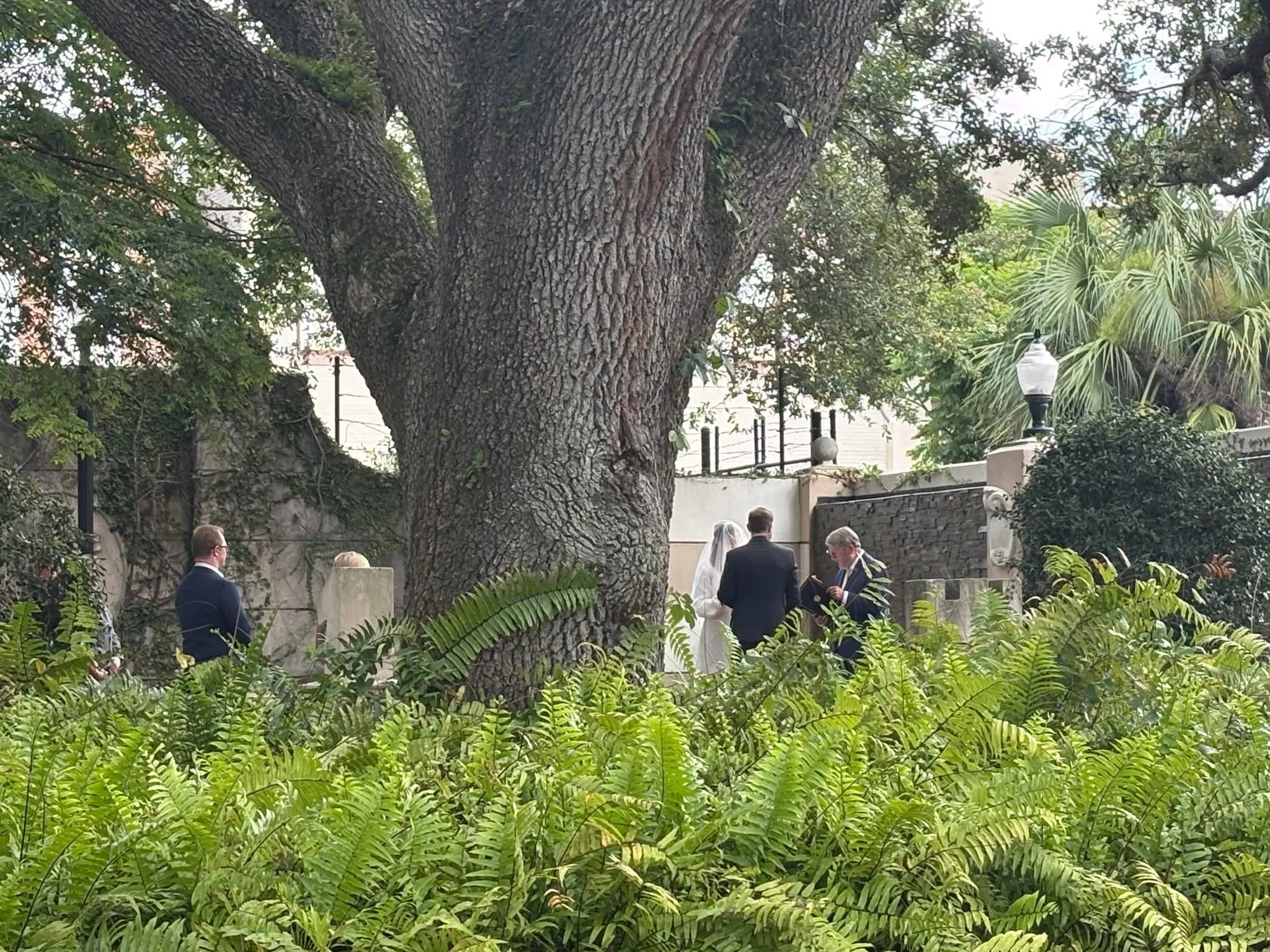 Under the shade of one of downtown DeLand&rsquo;s beautiful old oaks, another love story begins. 🤍

#westvolusiaweddings #visitwestvolusia #destinationweddings