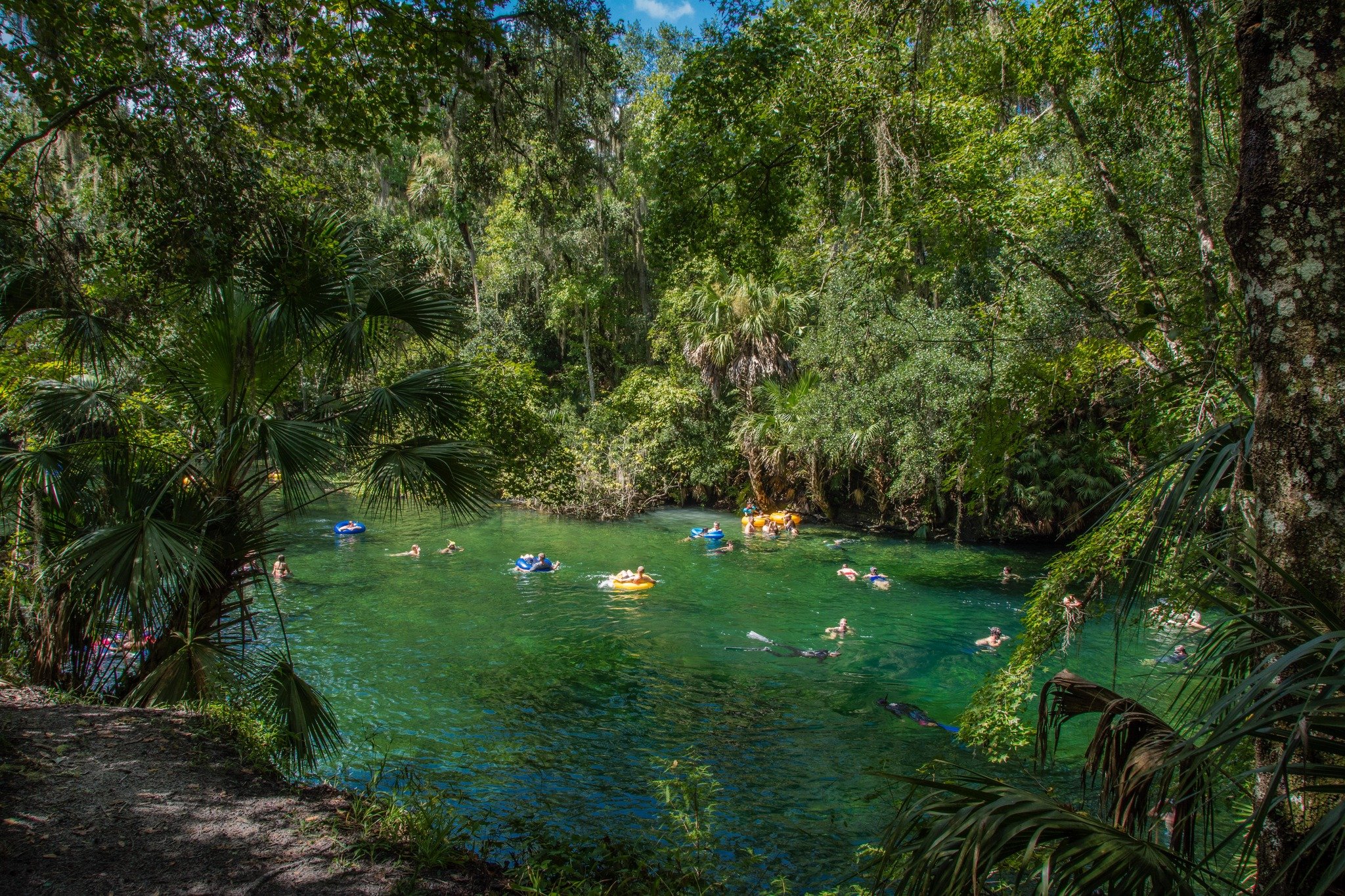 Planning your Memorial Day weekend? Here is some incredible news: Florida State Parks are offering FREE admission all weekend long (May 23&ndash;25) to honor those who served. 🇺🇸

That means entry to all three of West Volusia's State Parks, Blue Sp