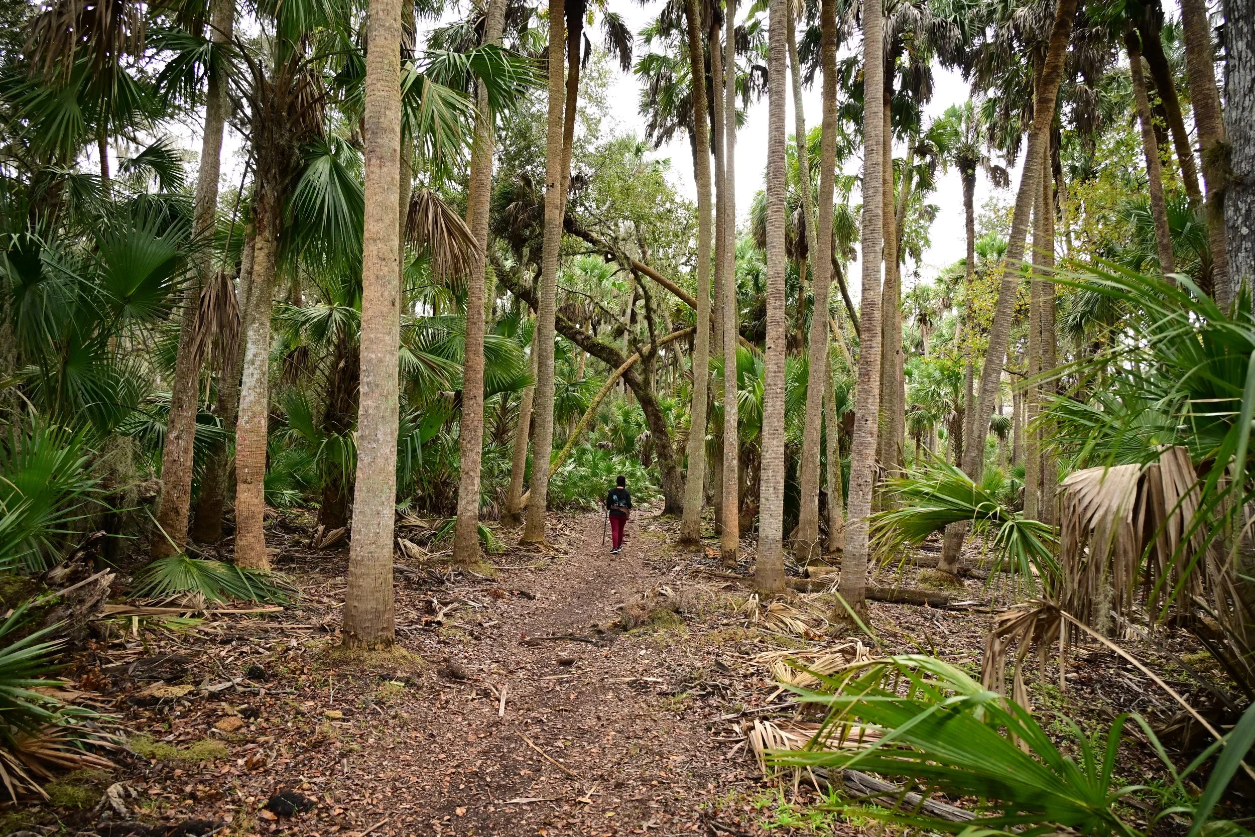 Experience West Volusia like a Local (For $10 or Less)
